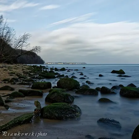 Powstania Wielkopolskiego 18a * Gdynia